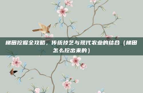 梯田挖掘全攻略,传统技艺与现代农业的结合(梯田怎么挖出来的)