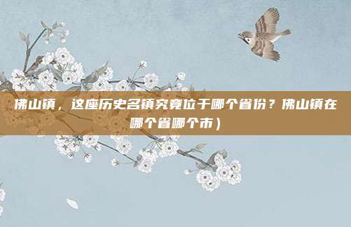 佛山镇,这座历史名镇究竟位于哪个省份?佛山镇在哪个省哪个市)