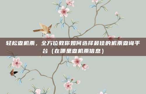 轻松查机票，全方位教你如何选择最佳的机票查询平台（在哪里查机票信息）