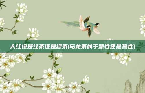 大红袍是红茶还是绿茶(乌龙茶属于凉性还是热性)