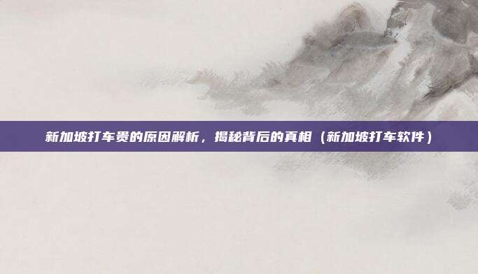 新加坡打车贵的原因解析，揭秘背后的真相（新加坡打车软件）
