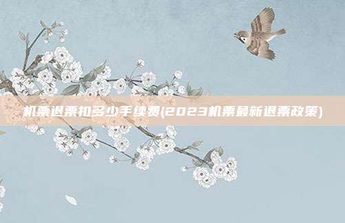 机票退票扣多少手续费(2023机票最新退票政策)