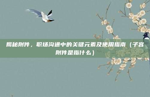 揭秘附件，职场沟通中的关键元素及使用指南（子宫附件是指什么）