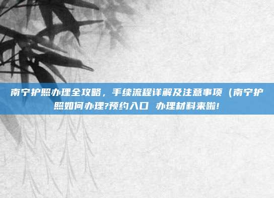 南宁护照办理全攻略，手续流程详解及注意事项（南宁护照如何办理?预约入口 办理材料来啦!