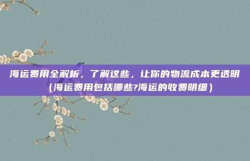 海运费用全解析，了解这些，让你的物流成本更透明（海运费用包括哪些?海运的收费明细）