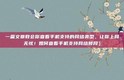 一篇文章教会你查看手机支持的网络类型，让你上网无忧！如何查看手机支持网络频段）
