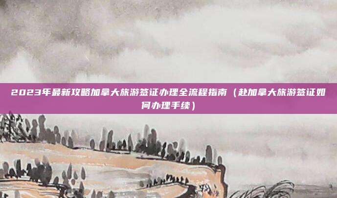 2023年最新攻略加拿大旅游签证办理全流程指南（赴加拿大旅游签证如何办理手续）