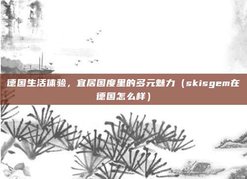 德国生活体验，宜居国度里的多元魅力（skisgem在德国怎么样）
