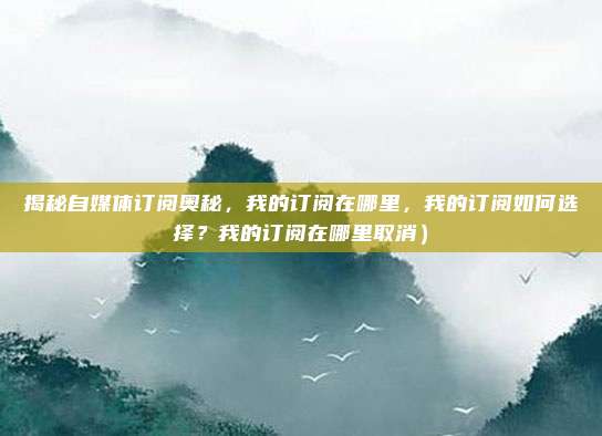 揭秘自媒体订阅奥秘,我的订阅在哪里,我的订阅如何选择?我的订阅在哪里取消)