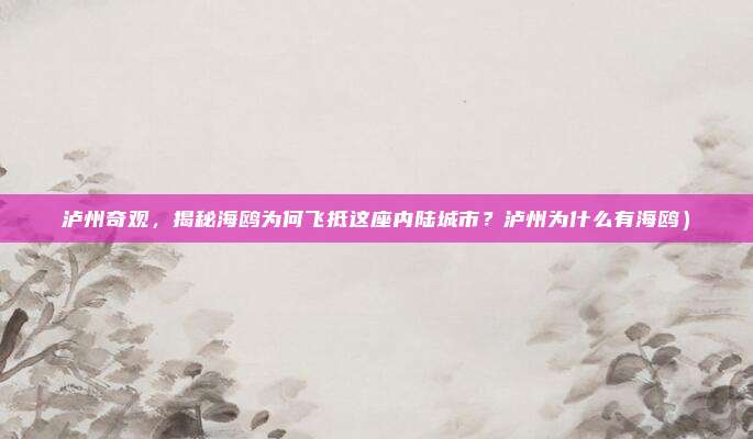 泸州奇观,揭秘海鸥为何飞抵这座内陆城市?泸州为什么有海鸥)