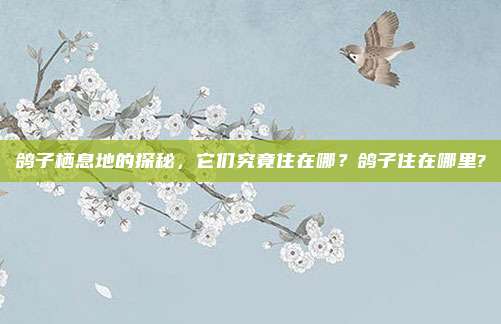 鸽子栖息地的探秘,它们究竟住在哪?鸽子住在哪里?