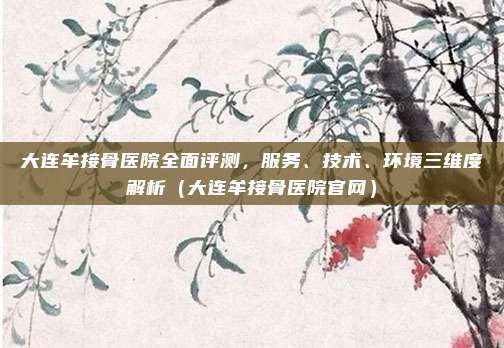 大连牟接骨医院全面评测,服务、技术、环境三维度解析(大连牟接骨医院官网)