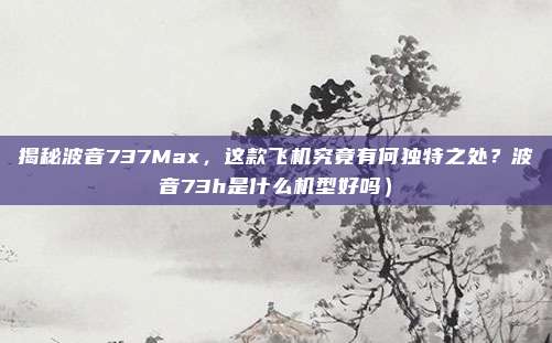揭秘波音737Max,这款飞机究竟有何独特之处?波音73h是什么机型好吗)