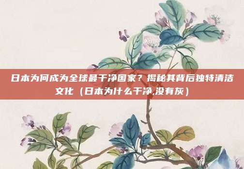日本为何成为全球最干净国家?揭秘其背后独特清洁文化(日本为什么干净,没有灰)