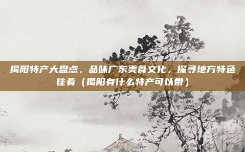 揭阳特产大盘点,品味广东美食文化,探寻地方特色佳肴(揭阳有什么特产可以带)
