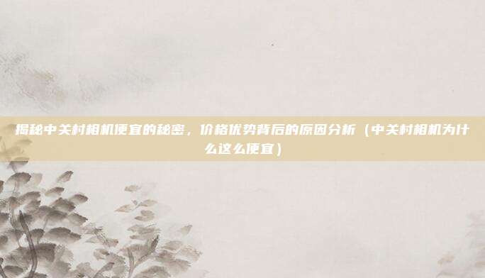 揭秘中关村相机便宜的秘密,价格优势背后的原因分析(中关村相机为什么这么便宜)