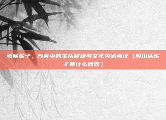 解密坨子,方言中的生活趣味与文化内涵解读(四川话坨子是什么意思)