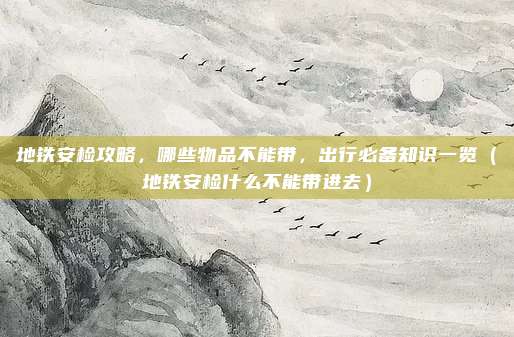 地铁安检攻略,哪些物品不能带,出行必备知识一览(地铁安检什么不能带进去)