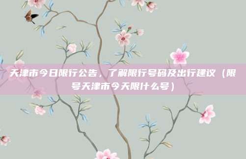 天津市今日限行公告,了解限行号码及出行建议(限号天津市今天限什么号)