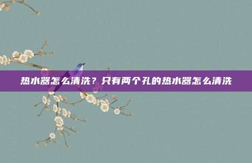 热水器怎么清洗？只有两个孔的热水器怎么清洗