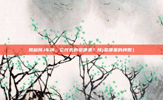 揭秘陕J车牌,它代表的是哪里?陕j是哪里的牌照)