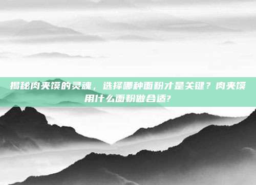 揭秘肉夹馍的灵魂,选择哪种面粉才是关键?肉夹馍用什么面粉做合适?