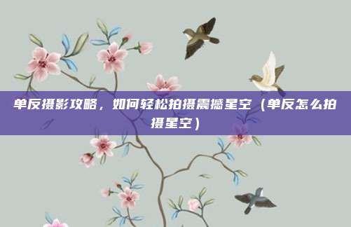 单反摄影攻略,如何轻松拍摄震撼星空(单反怎么拍摄星空)