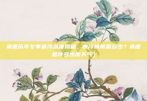 承德历年冬季最冷温度揭秘,寒冷极限是多少?承德最冷多少度天气)