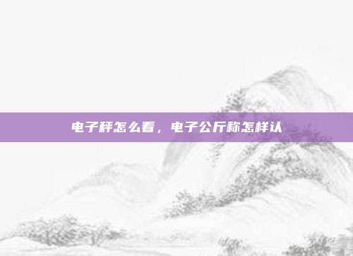 电子秤怎么看,电子公斤称怎样认