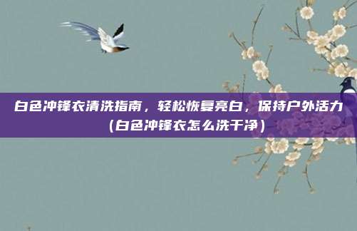 白色冲锋衣清洗指南,轻松恢复亮白,保持户外活力(白色冲锋衣怎么洗干净)