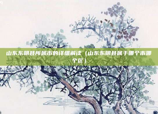 山东东明县所属市的详细解读(山东东明县属于哪个市哪个区)