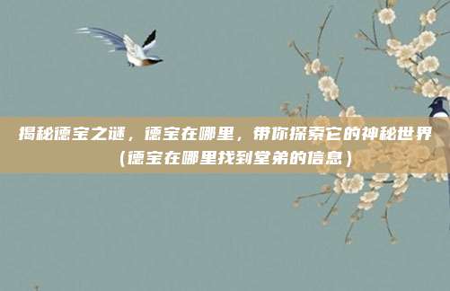 揭秘德宝之谜,德宝在哪里,带你探索它的神秘世界(德宝在哪里找到堂弟的信息)