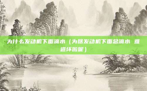 为什么发动机下面滴水（为啥发动机下面总滴水 难道坏啦呢）
