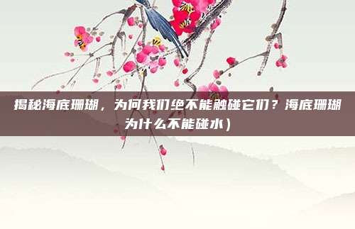 揭秘海底珊瑚,为何我们绝不能触碰它们?海底珊瑚为什么不能碰水)
