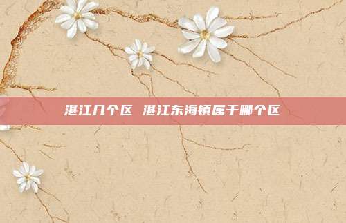 湛江几个区 湛江东海镇属于哪个区