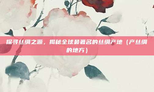 探寻丝绸之源,揭秘全球最著名的丝绸产地(产丝绸的地方)