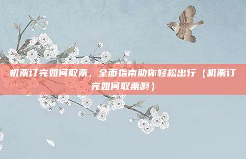 机票订完如何取票,全面指南助你轻松出行(机票订完如何取票啊)