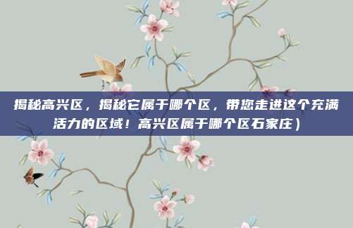 揭秘高兴区,揭秘它属于哪个区,带您走进这个充满活力的区域!高兴区属于哪个区石家庄)