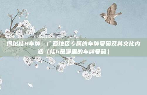 揭秘桂H车牌，广西地区专属的车牌号码及其文化内涵（桂h是哪里的车牌号码）