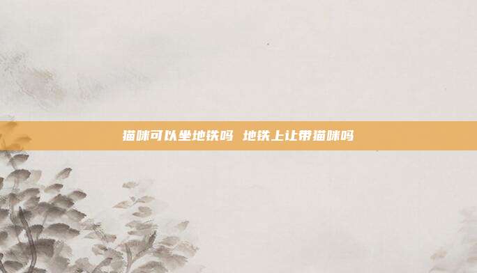 猫咪可以坐地铁吗 地铁上让带猫咪吗