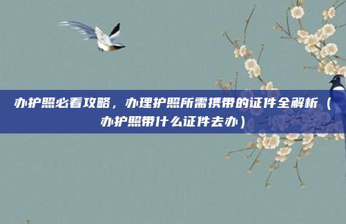 办护照必看攻略,办理护照所需携带的证件全解析(办护照带什么证件去办)