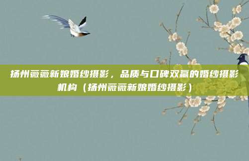 扬州薇薇新娘婚纱摄影,品质与口碑双赢的婚纱摄影机构(扬州薇薇新娘婚纱摄影)