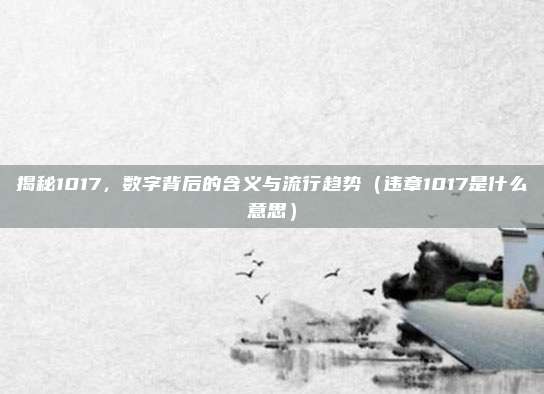 揭秘1017,数字背后的含义与流行趋势(违章1017是什么意思)