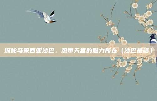 探秘马来西亚沙巴,热带天堂的魅力所在(沙巴是啥)