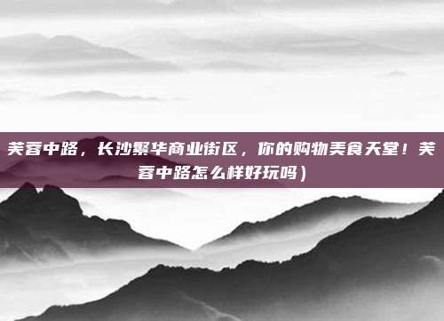 芙蓉中路,长沙繁华商业街区,你的购物美食天堂!芙蓉中路怎么样好玩吗)