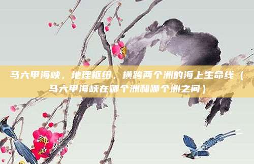 马六甲海峡,地理枢纽,横跨两个洲的海上生命线(马六甲海峡在哪个洲和哪个洲之间)