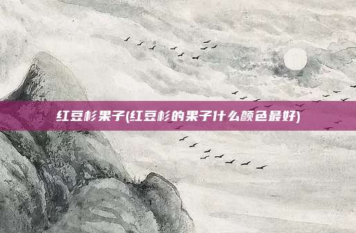 红豆杉果子(红豆杉的果子什么颜色最好)