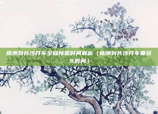 株洲到长沙开车全程所需时间解析(株洲到长沙开车要多久时间)