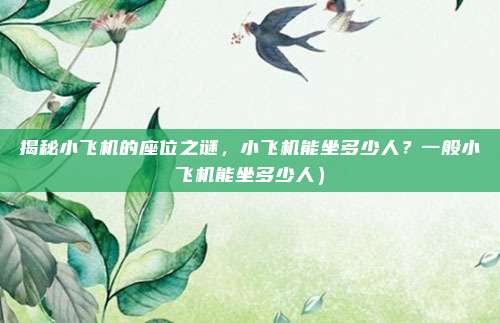 揭秘小飞机的座位之谜,小飞机能坐多少人?一般小飞机能坐多少人)