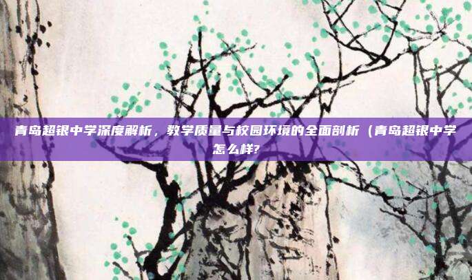 青岛超银中学深度解析,教学质量与校园环境的全面剖析(青岛超银中学怎么样?
